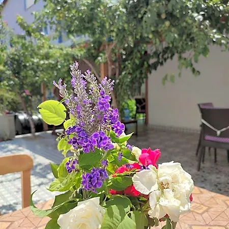 Geyikli Sahilde 1+1 Orta Kat B1 2* Ezine